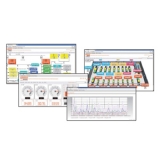 SYN1SW11 Лицензия на активацию функции контроля (измерения, мониторинг, проверка, веб-сервер), включая подключение 1 контроллера электрогенераторов серии RG