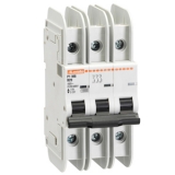 P1MBUH3PD01 Автомат. выключатель с термомагнитным расцепителем 3P, ток In 1 А, хар-ка D, 3 модуля, UL489