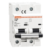 P2MB2PC100 Автомат. выключатель с термомагнитным расцепителем, 2 полюса, хар-ка С, In 100 А, 3 модуля